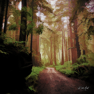 forest road
