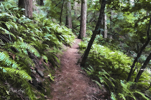kjarfernpath