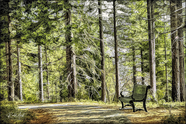 A Place to Reflect Print