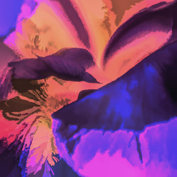 A Touch of Hawaii Print