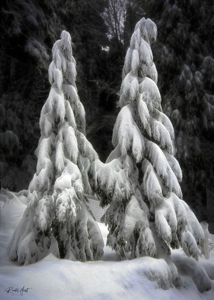 After the Storm Print