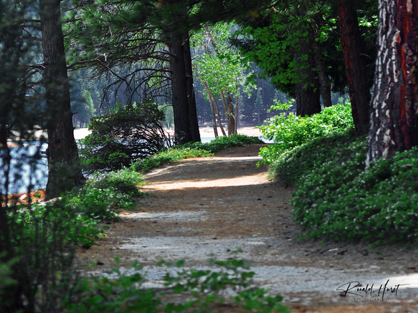 Along the Lake Print