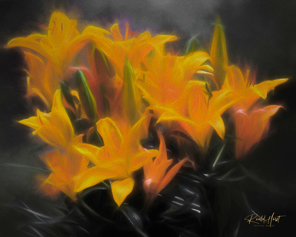 Asiatic Lilly Print