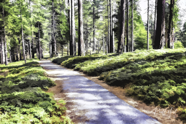 Bear Clover along Cedar Trail Print