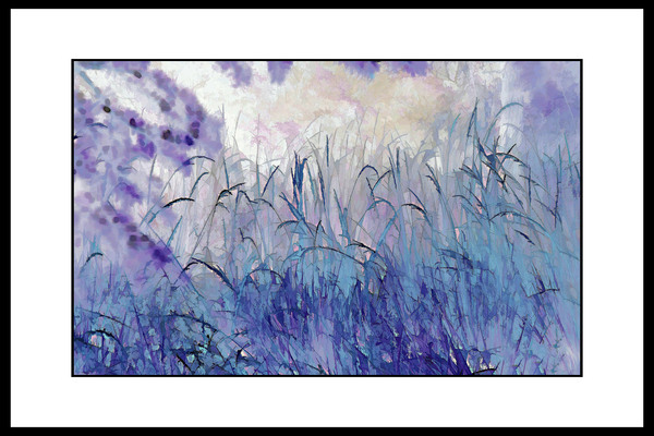 BlueGrass Print