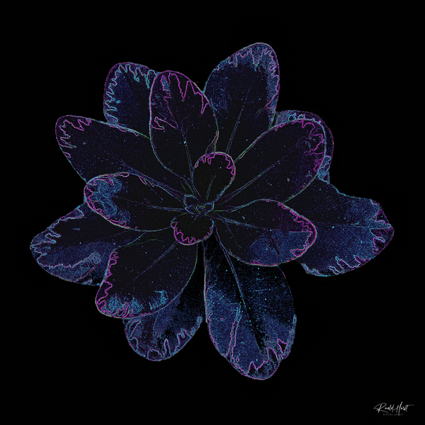 Blue Leaf 2 SharpenAI Motion Print