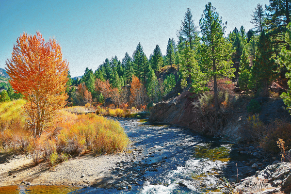 Carson River Print
