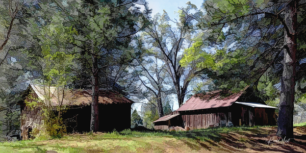 Cedar Grove Oil Painting Print