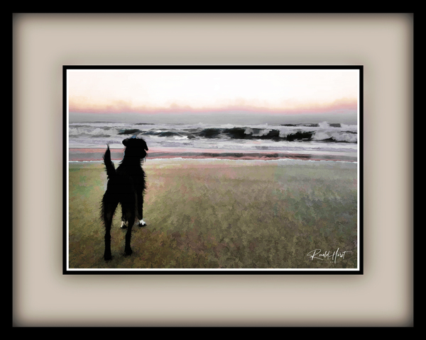 Charlie meets the ocean Print