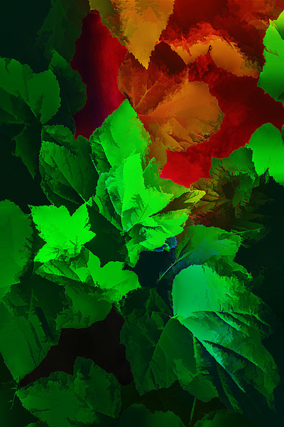 Colorful Leaves Print