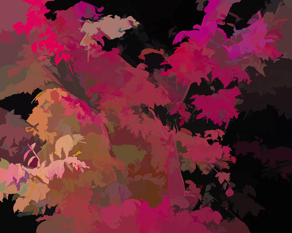 Fall Fling Print