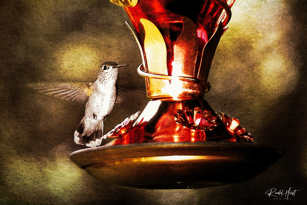 Hummer Print
