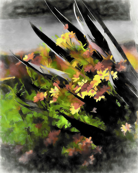 Last Light Print