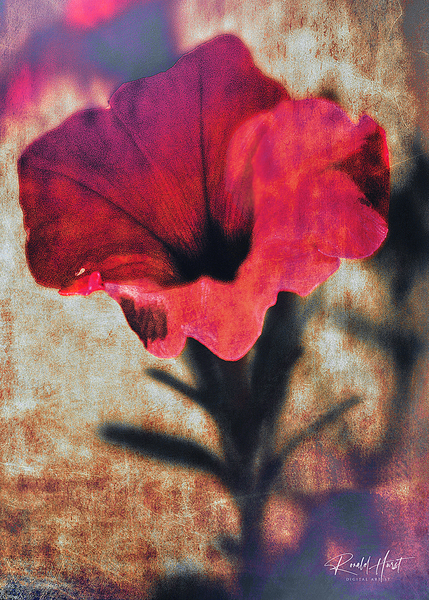Rusty Red Print