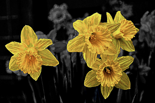 Spring Promise Print