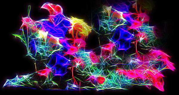 Tangled Print