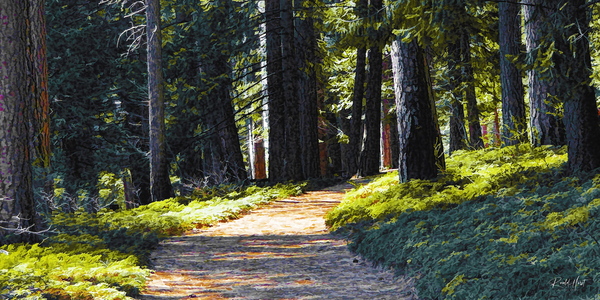 Tranquil Path  Print