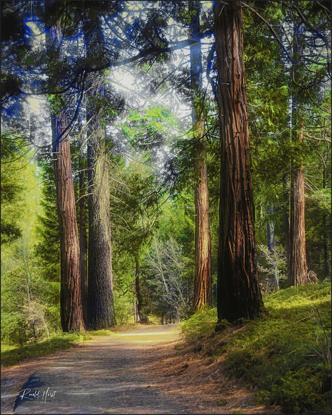 Uphill Path Print