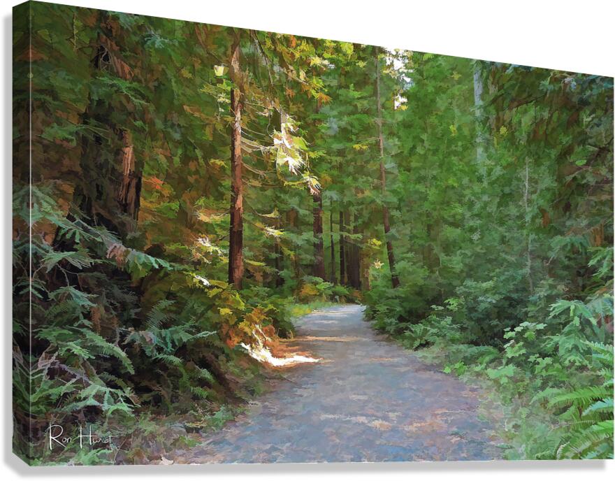 forest path Canvas Print