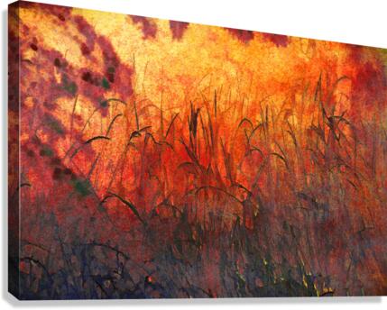 Grass Fire Canvas Print