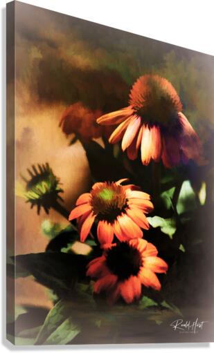 Moody Canvas Print