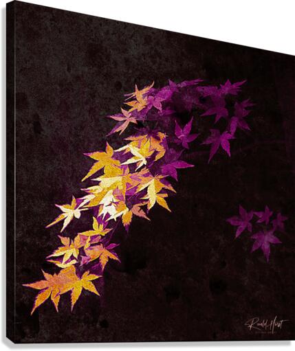 Just Cuz Canvas Print