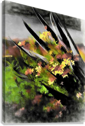 Last Light Canvas Print