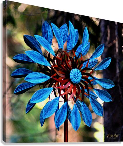 Whirly Canvas Print