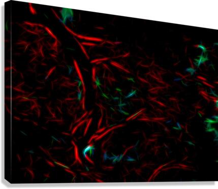Fire Wire Canvas Print