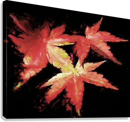Three Leaves Canvas Print