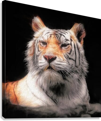 Tiger Canvas Print
