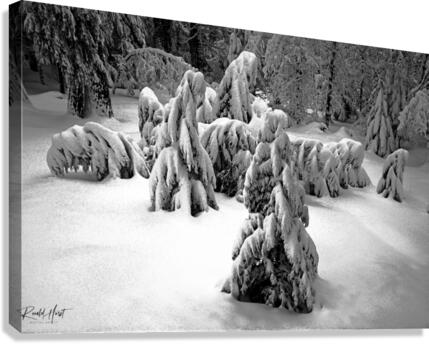 Deeper Canvas Print