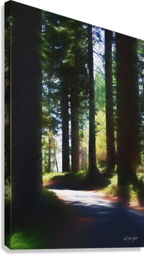 Forest Dream Canvas Print