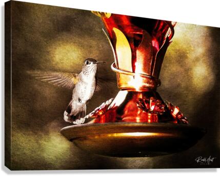 Hummer Canvas Print