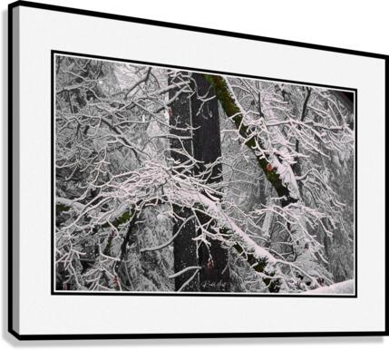 Ice Cold Canvas Print