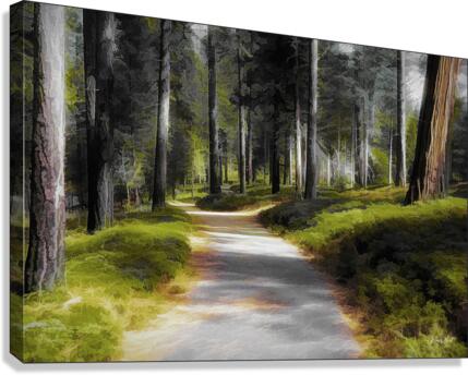 Headed Home Canvas Print