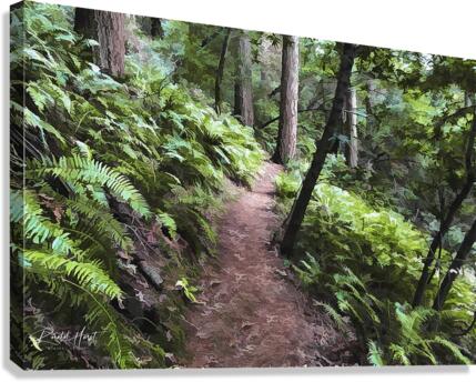 kjarfernpath Canvas Print