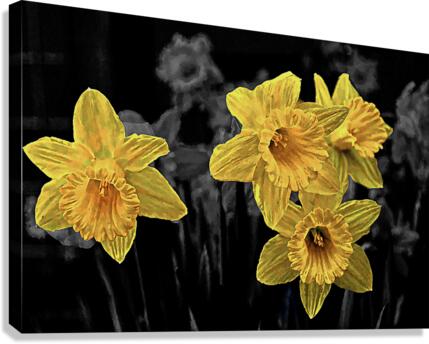 Spring Promise Canvas Print