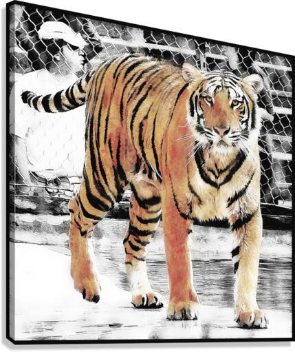 Tiger look Canvas Print
