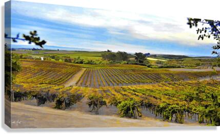 Vines Wide Canvas Print