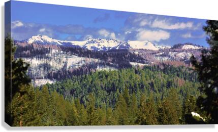 Second Winter  Canvas Print