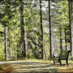 A Place to Reflect
