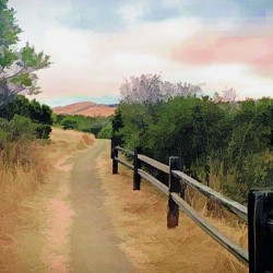 A Road Less Traveled