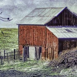 Barn  2
