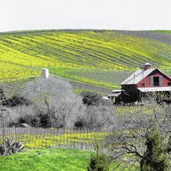 Blue Creek Ranch