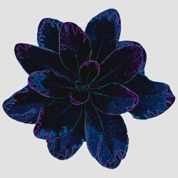 Blue Leaf