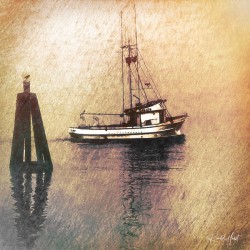Boat III