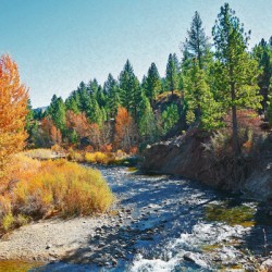 Carson River
