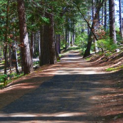 Cedar Trail wide