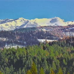 Clear Snow Day